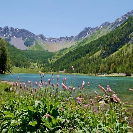 L'Oxalys Studio ! Coin Montagne - Pied Des Pistes & Centre Ville Briançon Екстериор снимка